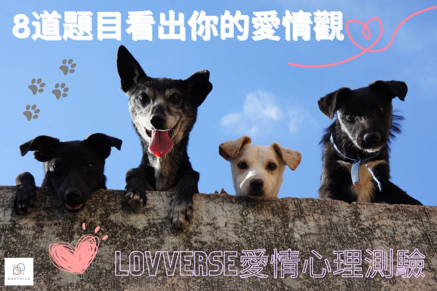 超準愛情心理測驗！8道題目看出你的愛情觀