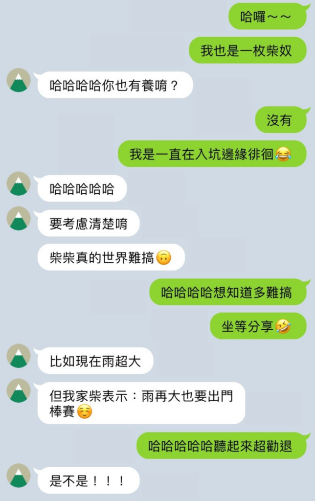 交友軟體開頭；聊天技巧；脫單；LOVVERSE